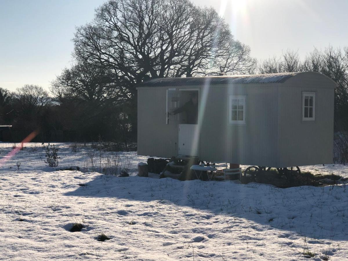 Romantic Secluded Shepherd Hut Hares Rest Southwick  Exterior photo